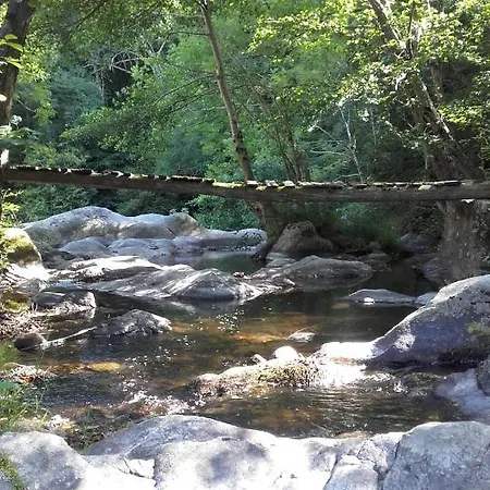 Du Tournailloux